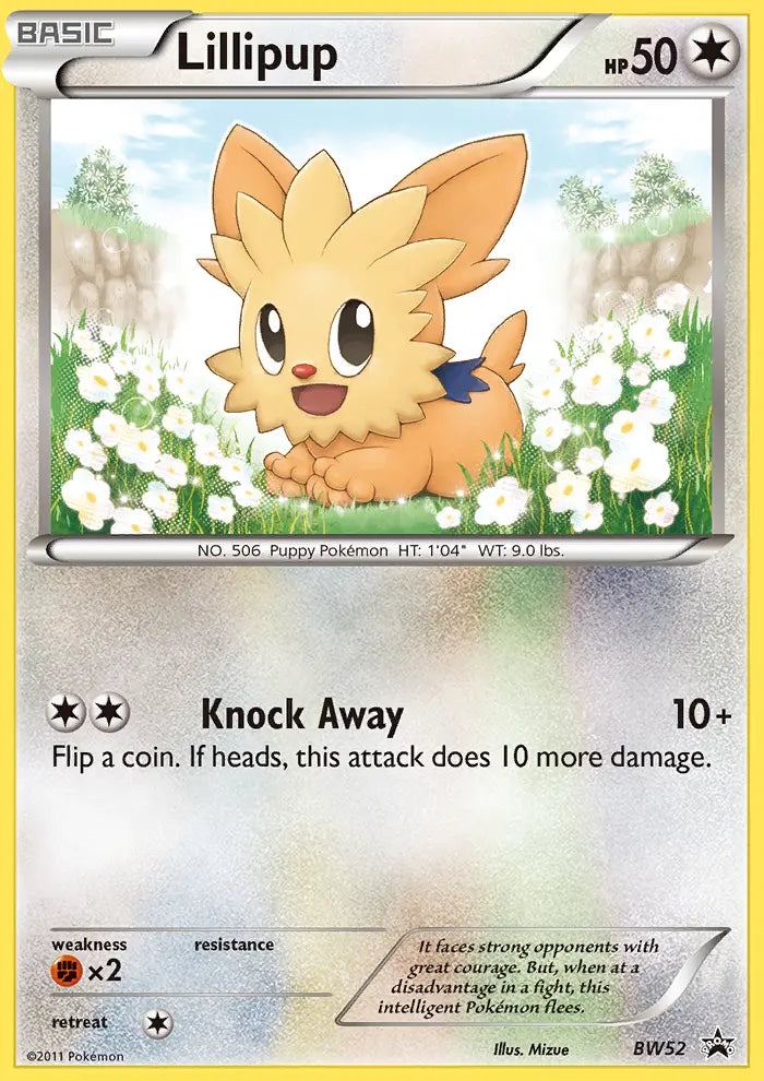Lillipup BW52 BW Black Star Promos Pokesingles