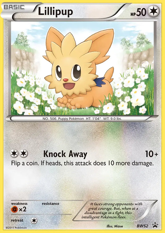 Lillipup BW52 BW Black Star Promos Pokesingles