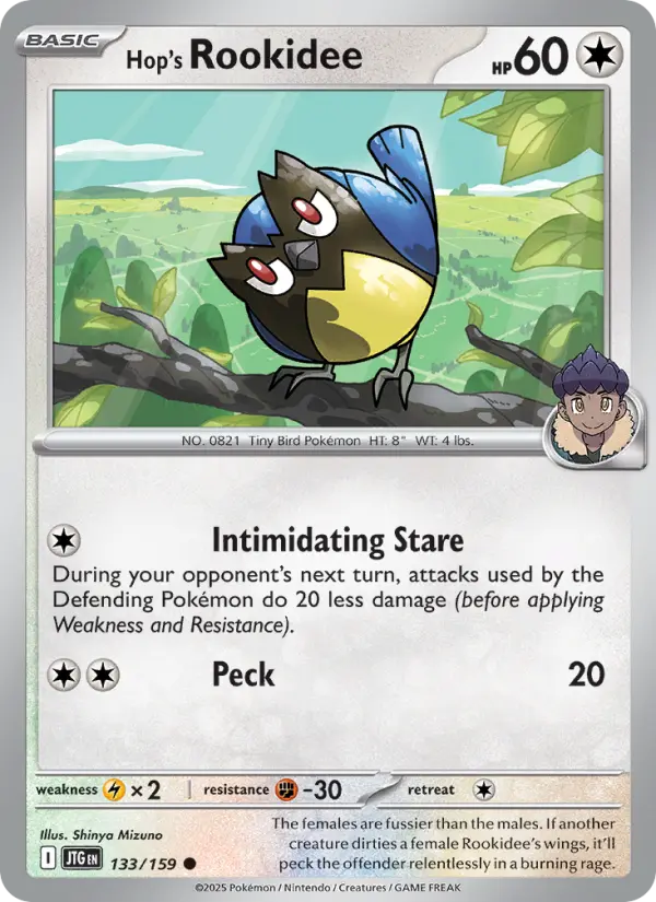 Hop's Rookidee 133 Journey Together Pokesingles