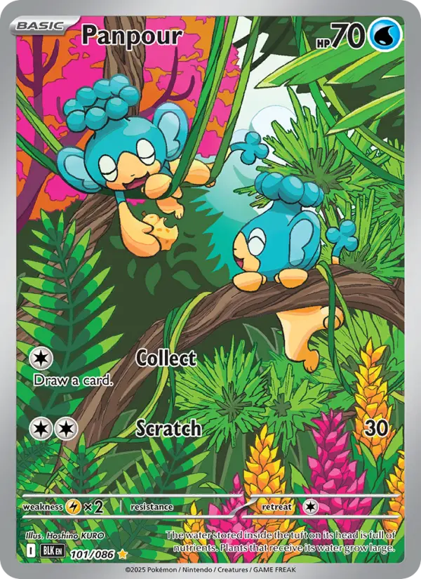 Panpour 101 Black Bolt Pokesingles