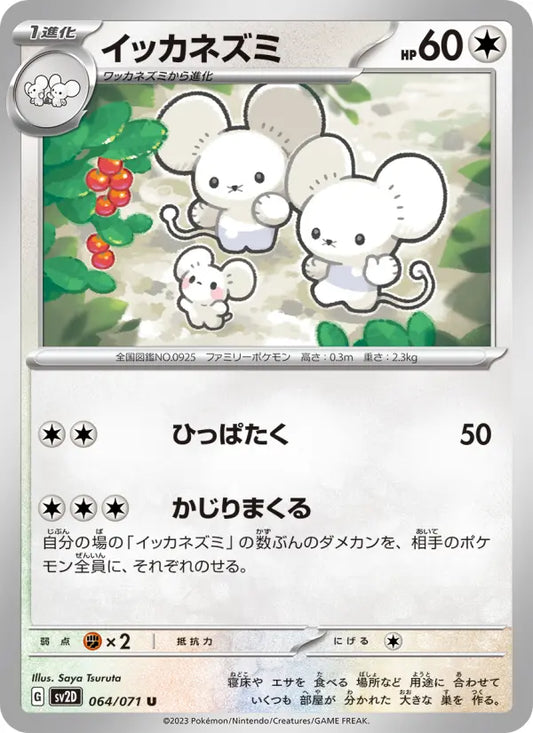 Maushold 64 Snow Hazard Pokesingles