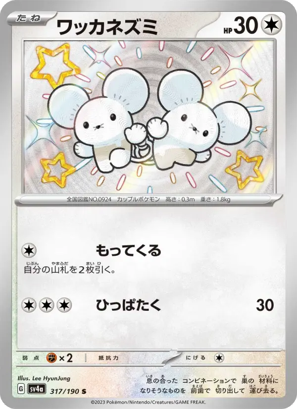 Tandemaus 317 Raging Surf Pokesingles