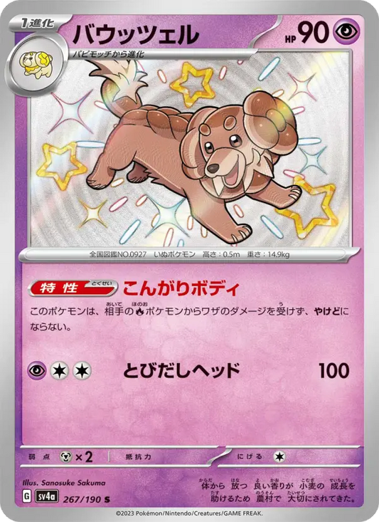 Dachsbun 267 Raging Surf Pokesingles