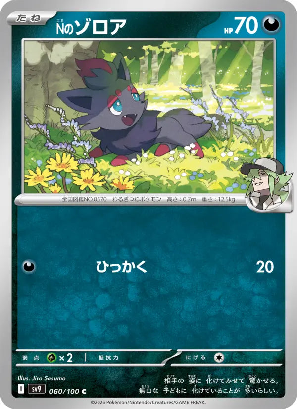 Zorua 60 Battle Partners Pokesingles