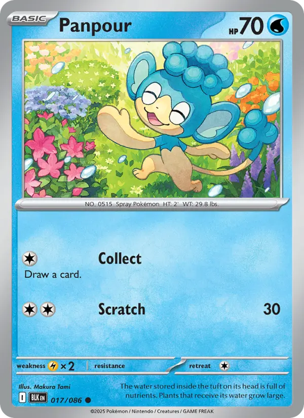 Panpour 17 Black Bolt Pokesingles
