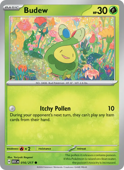 Budew 16 Ascended Heroes Pokesingles