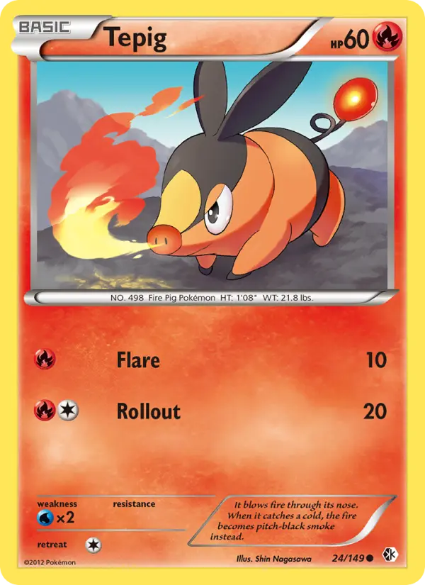 Tepig 24 Boundaries Crossed Pokesingles
