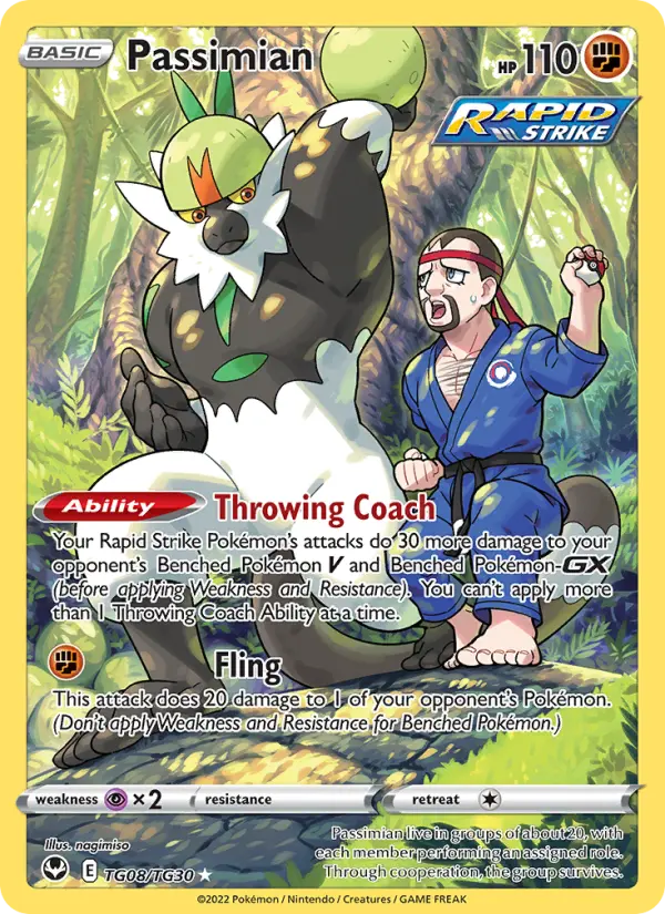 Passimian TG08 Silver Tempest Pokesingles