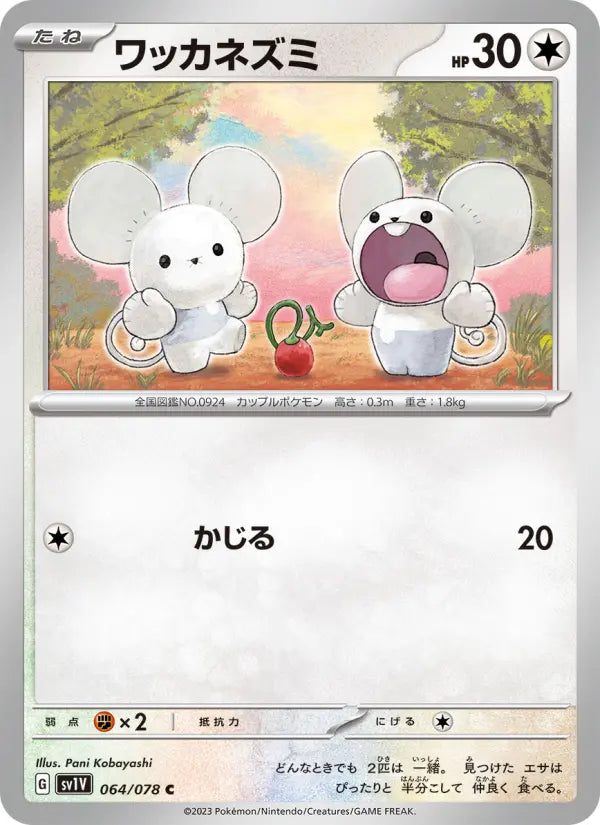 Tandemaus 64 Violet ex Pokesingles