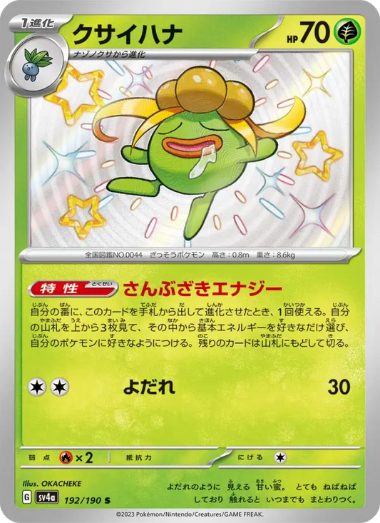 Gloom 192 Raging Surf Pokesingles