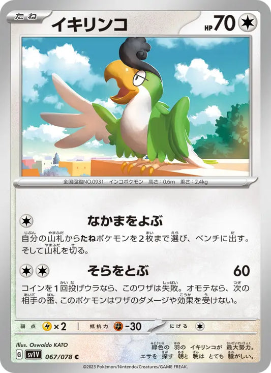 Squawkabilly 67 Violet ex Pokesingles