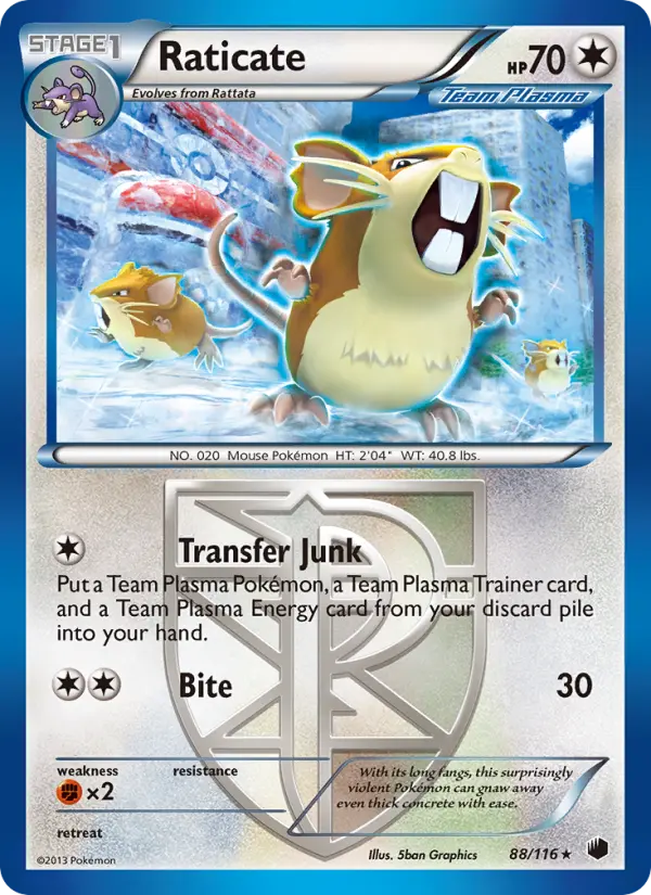 Raticate 88 Plasma Freeze Pokesingles