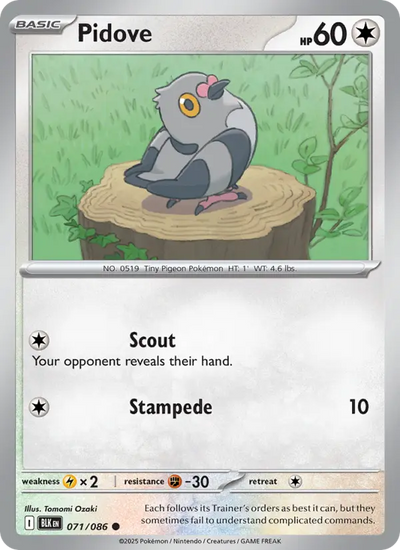 Pidove 71 Black Bolt Pokesingles