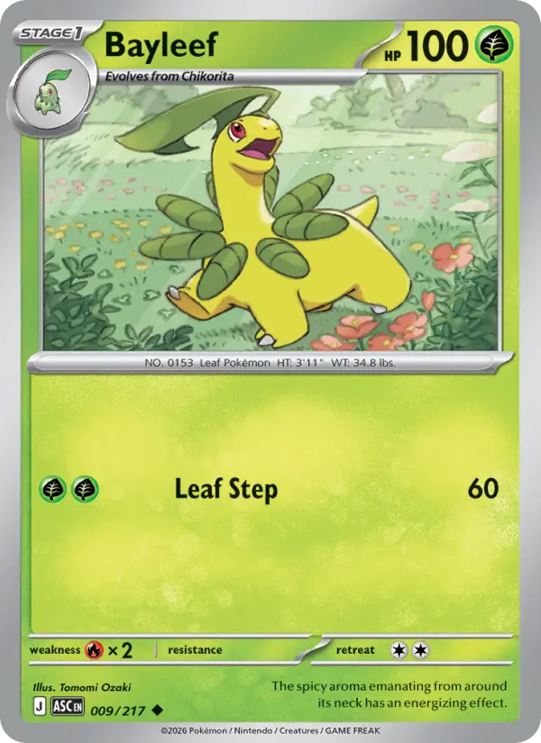 Bayleef 9 Ascended Heroes Pokesingles
