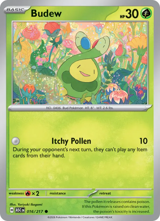 Budew 16 Ascended Heroes Pokesingles
