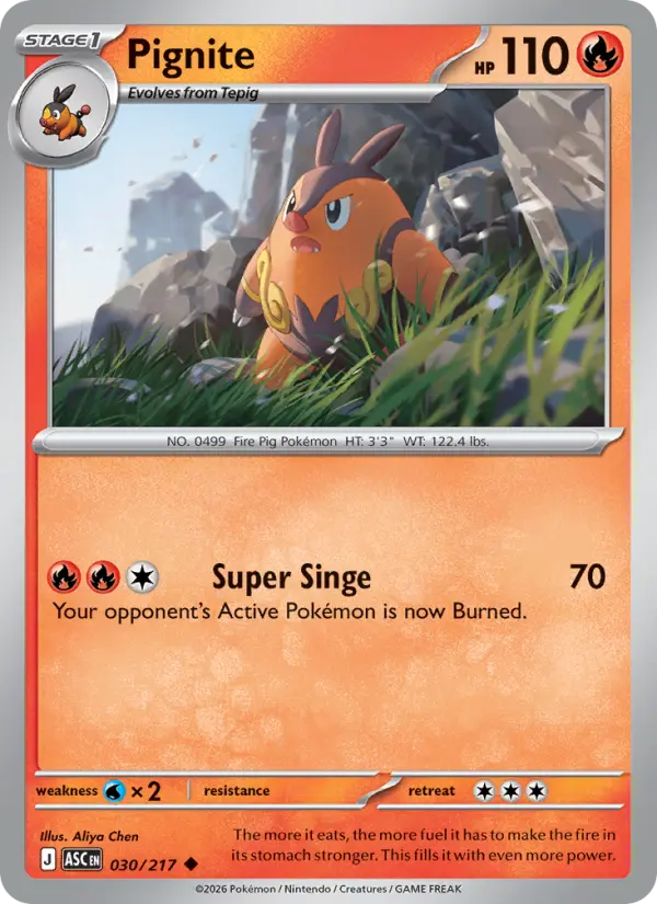 Pignite 30 Ascended Heroes Pokesingles