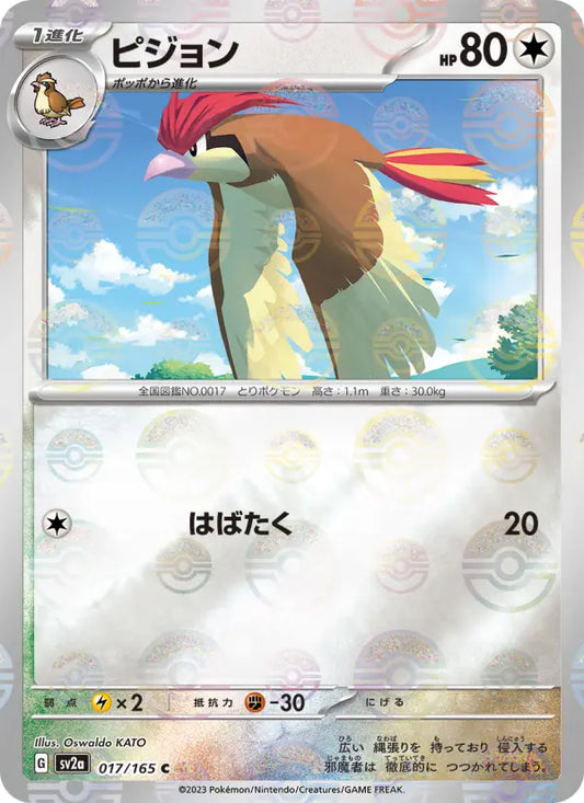 Pidgeotto 17 Pokémon Card 151 Pokesingles