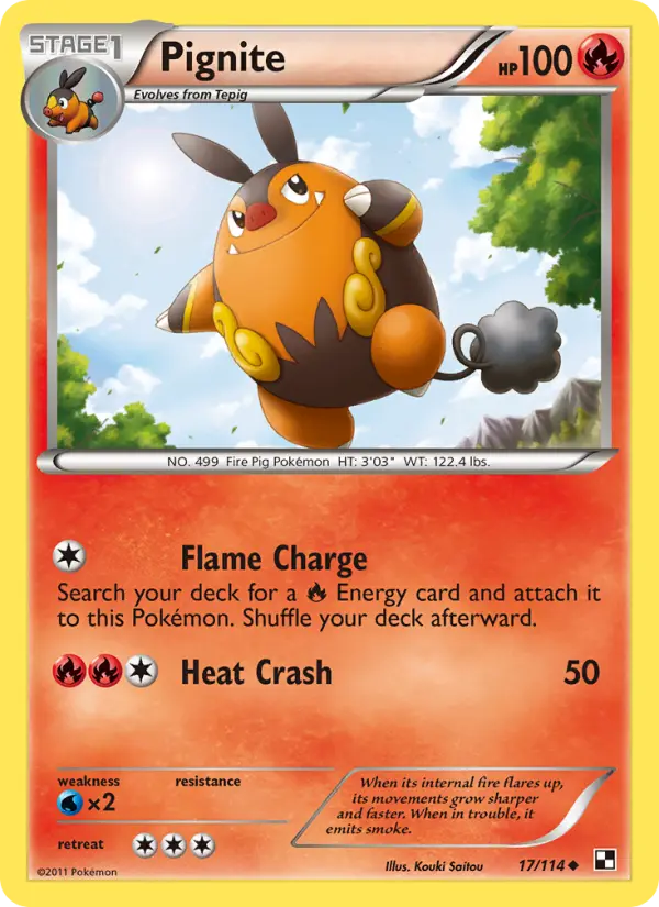 Pignite 17 Black & White Pokesingles