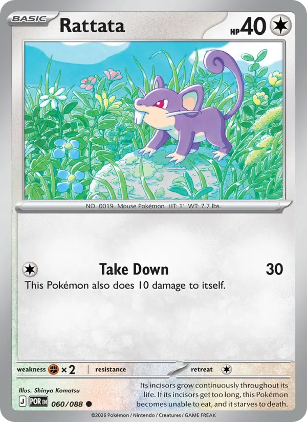 Rattata 60 Perfect Order Pokesingles
