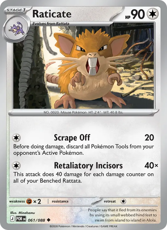 Raticate 61 Perfect Order Pokesingles