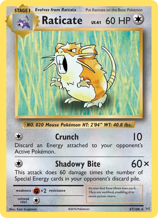 Raticate 67 Evolutions Pokesingles