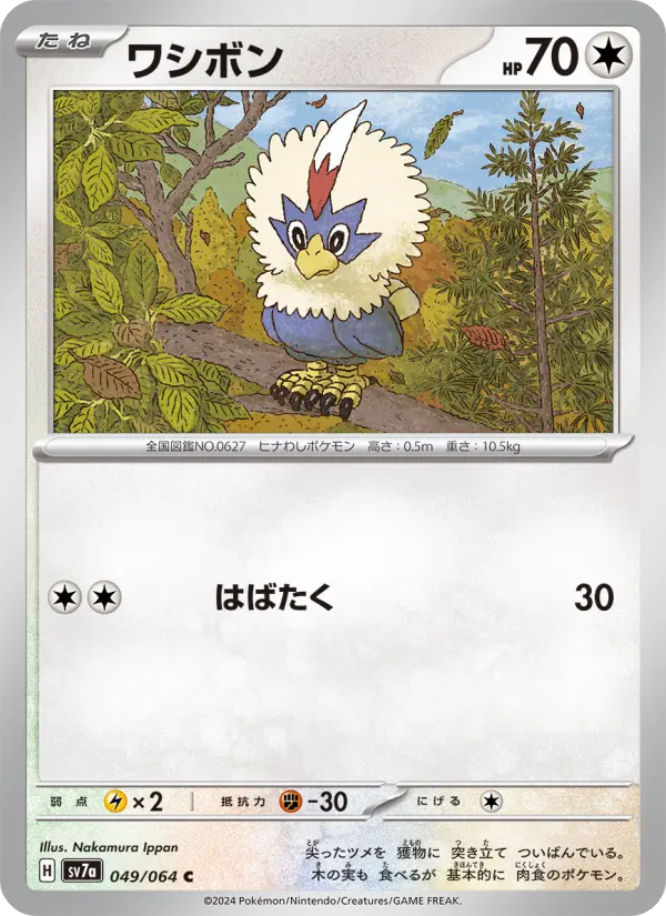 Rufflet 49 Paradise Dragona Pokesingles