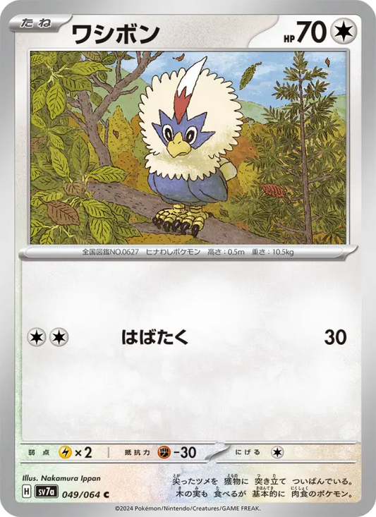 Rufflet 49 Paradise Dragona Pokesingles