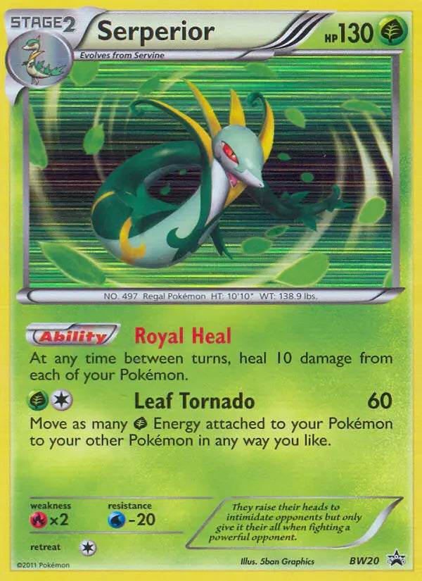 Serperior BW20 BW Black Star Promos Pokesingles