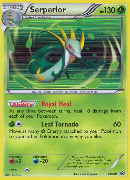 Serperior BW20 BW Black Star Promos Pokesingles