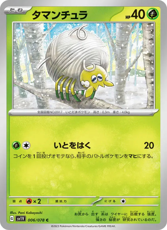 Tarountula 6 Violet ex Pokesingles