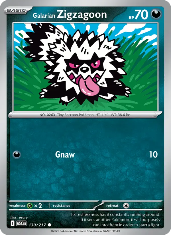 Galarian Zigzagoon 130 Ascended Heroes Pokesingles