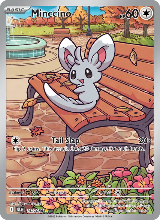 Minccino 152 Black Bolt Pokesingles