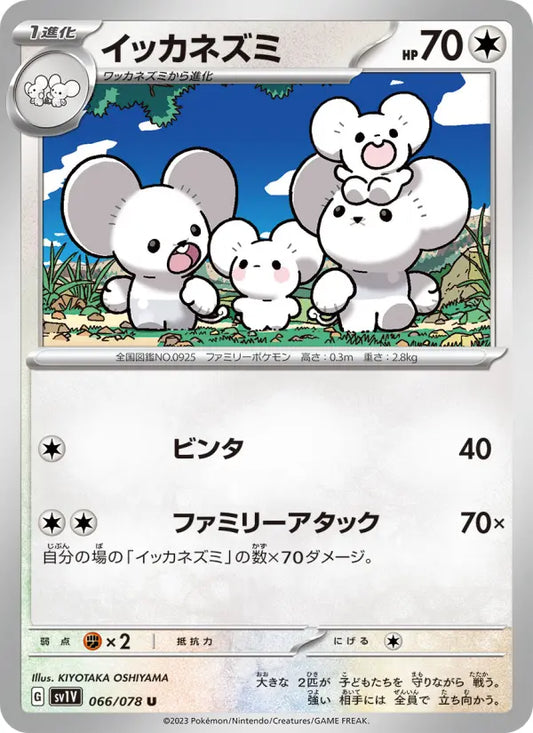 Maushold 66 Violet ex Pokesingles
