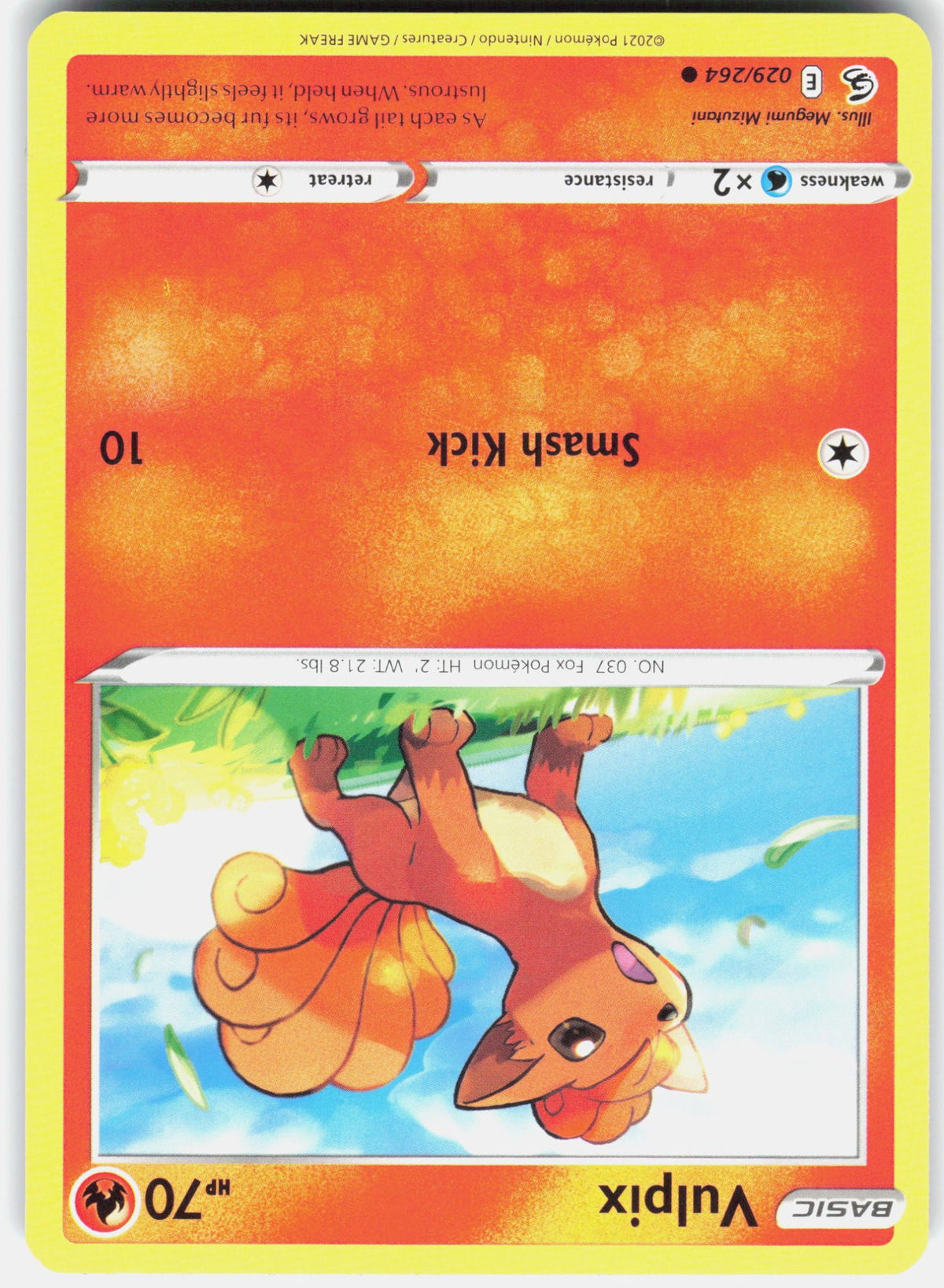Vulpix (29)