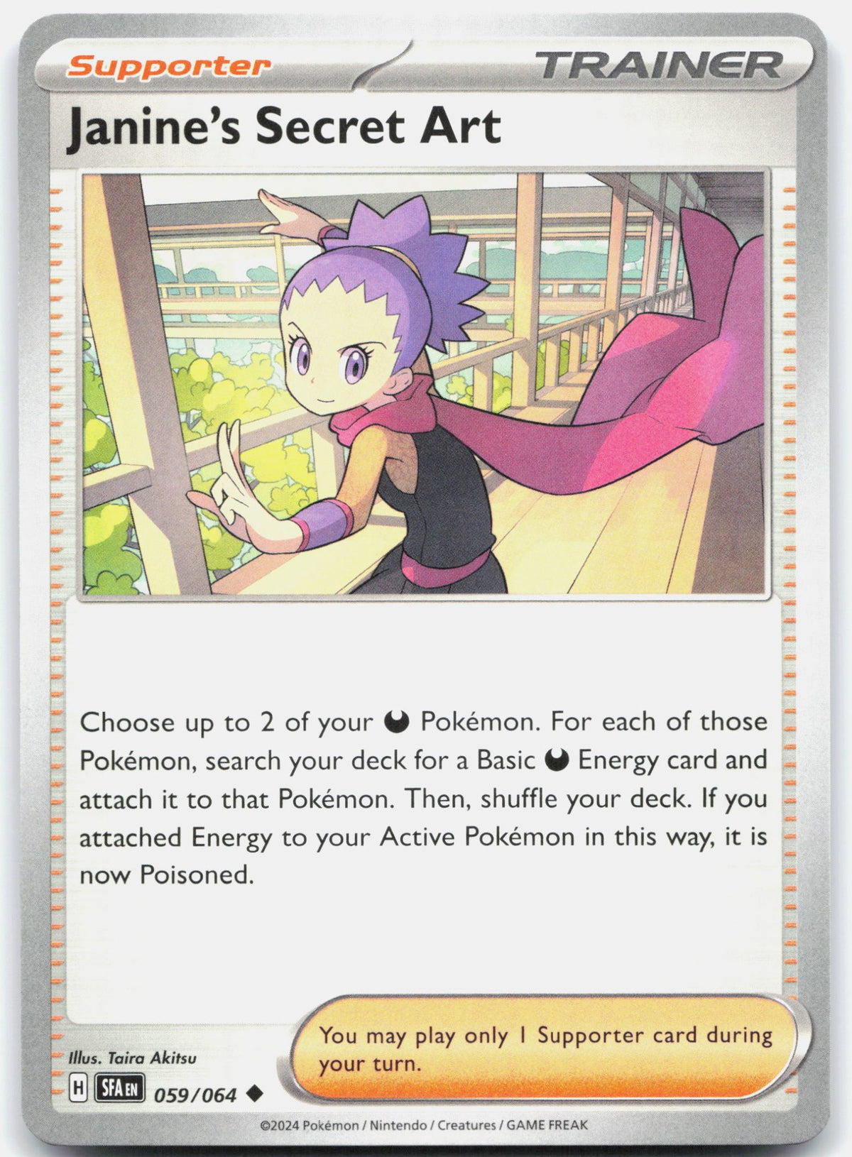 Janine's Secret Art - 059/064