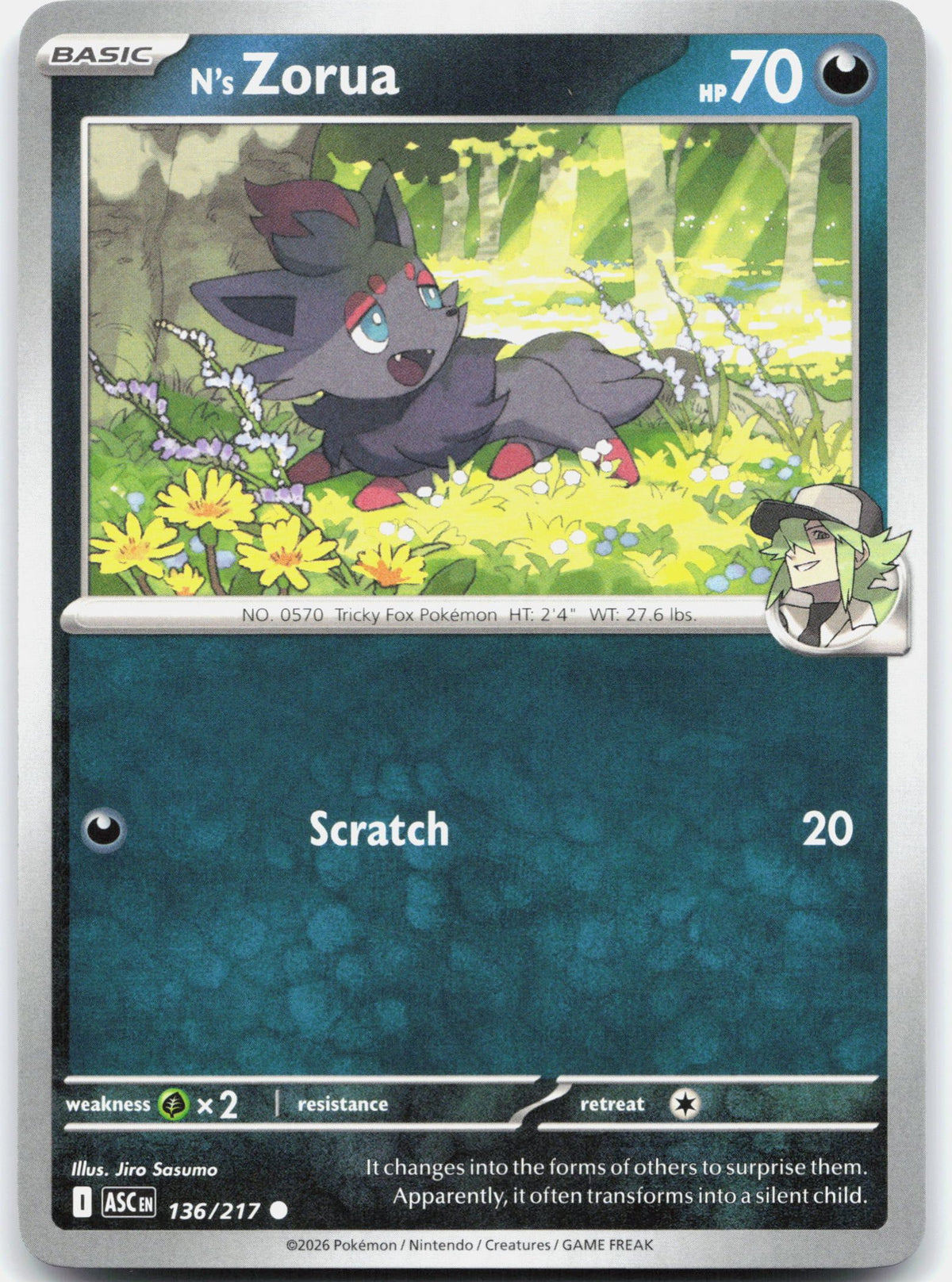 N's Zorua