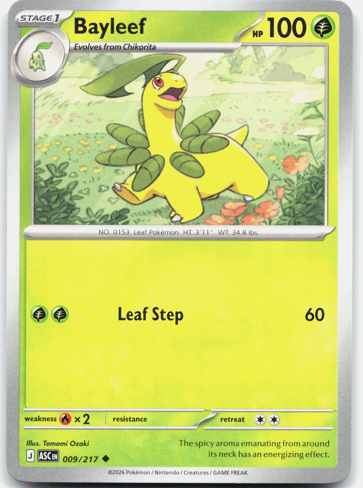 Bayleef