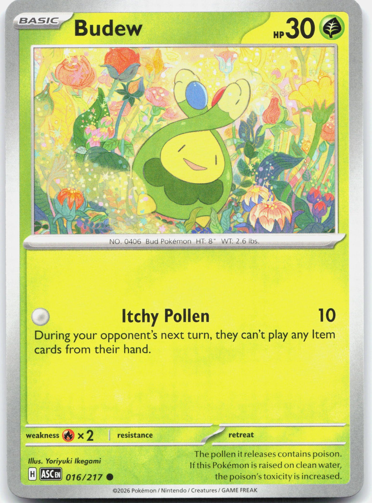 Budew - 016/217