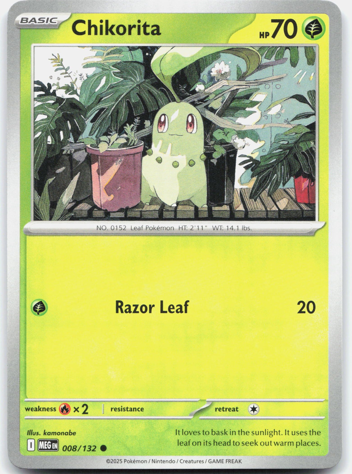 Chikorita