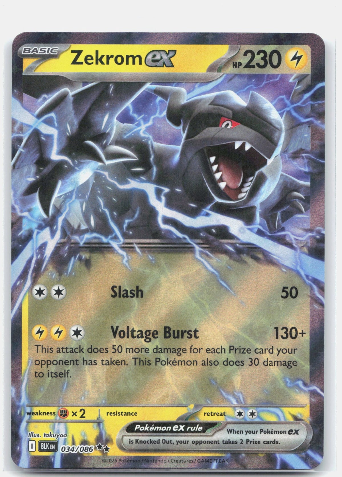 Zekrom ex