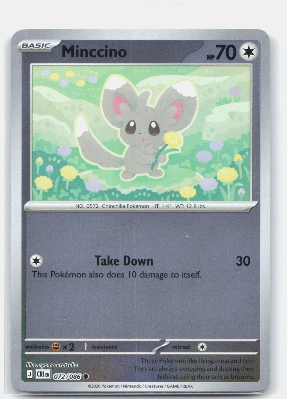 Minccino