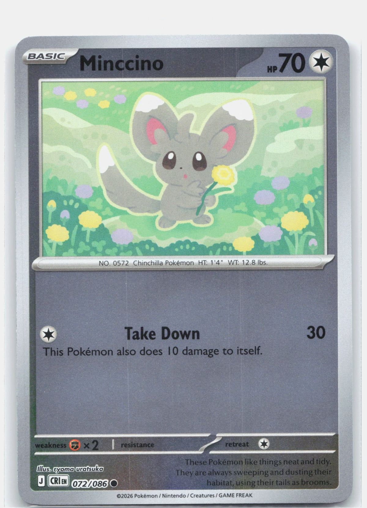 Minccino