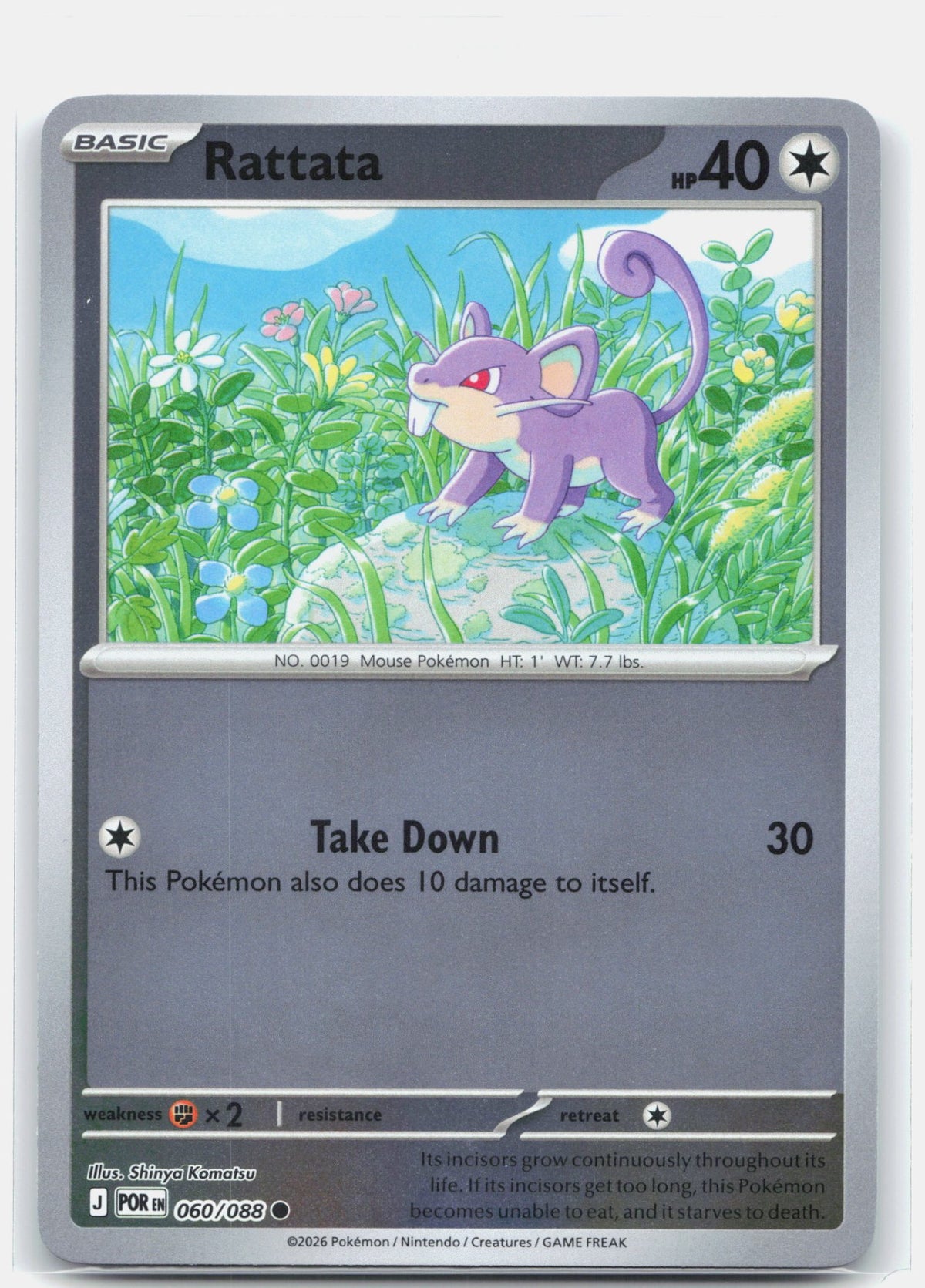 Rattata