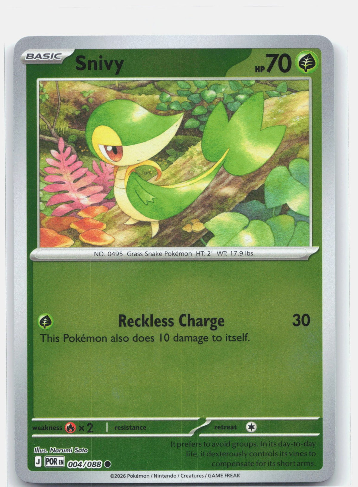 Snivy