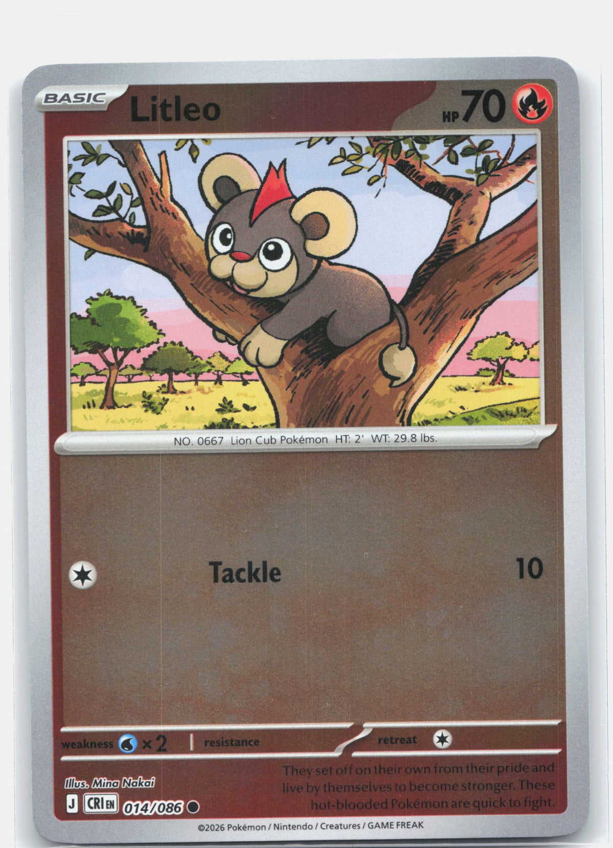 Litleo