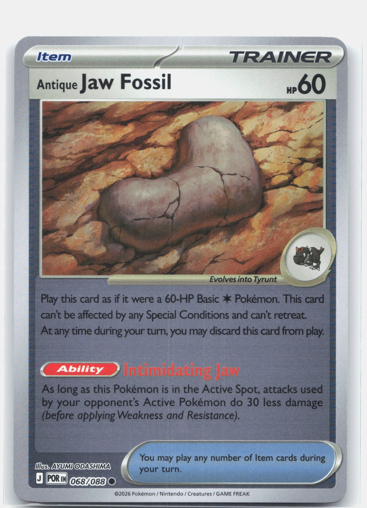 Antique Jaw Fossil