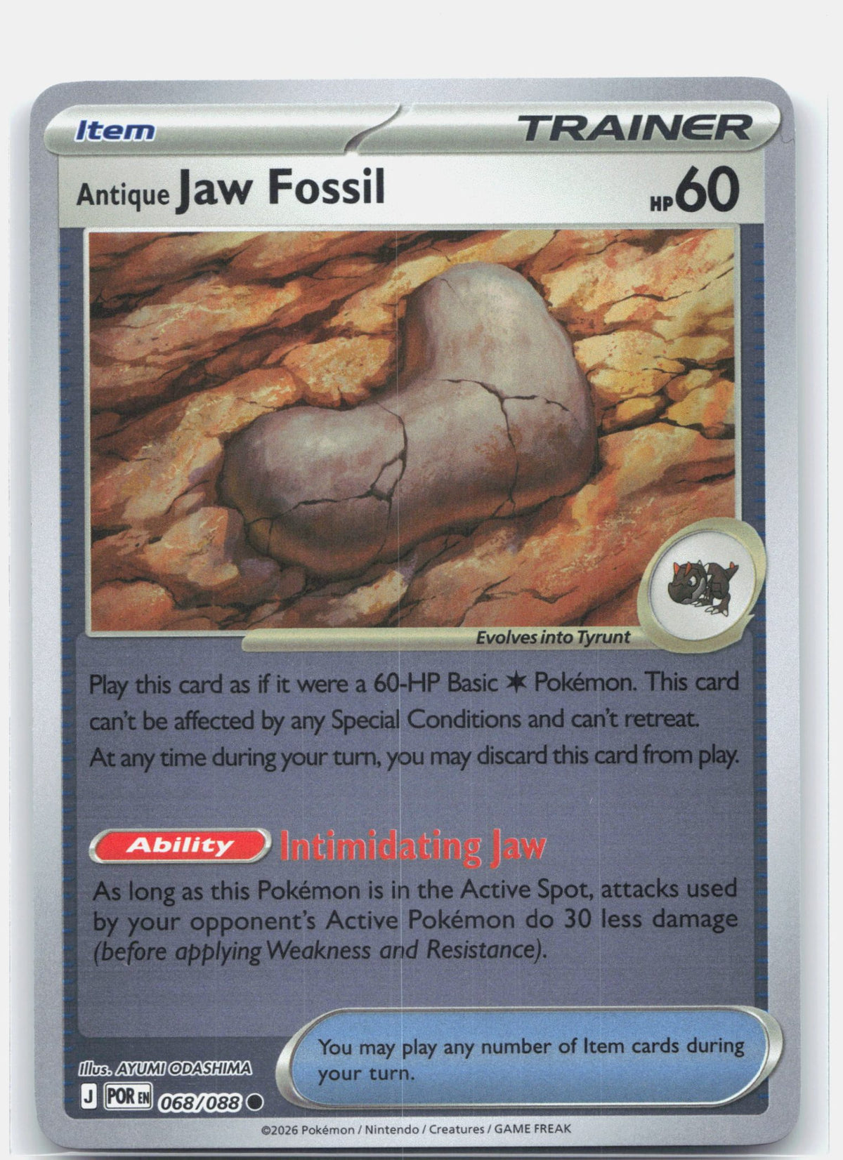 Antique Jaw Fossil