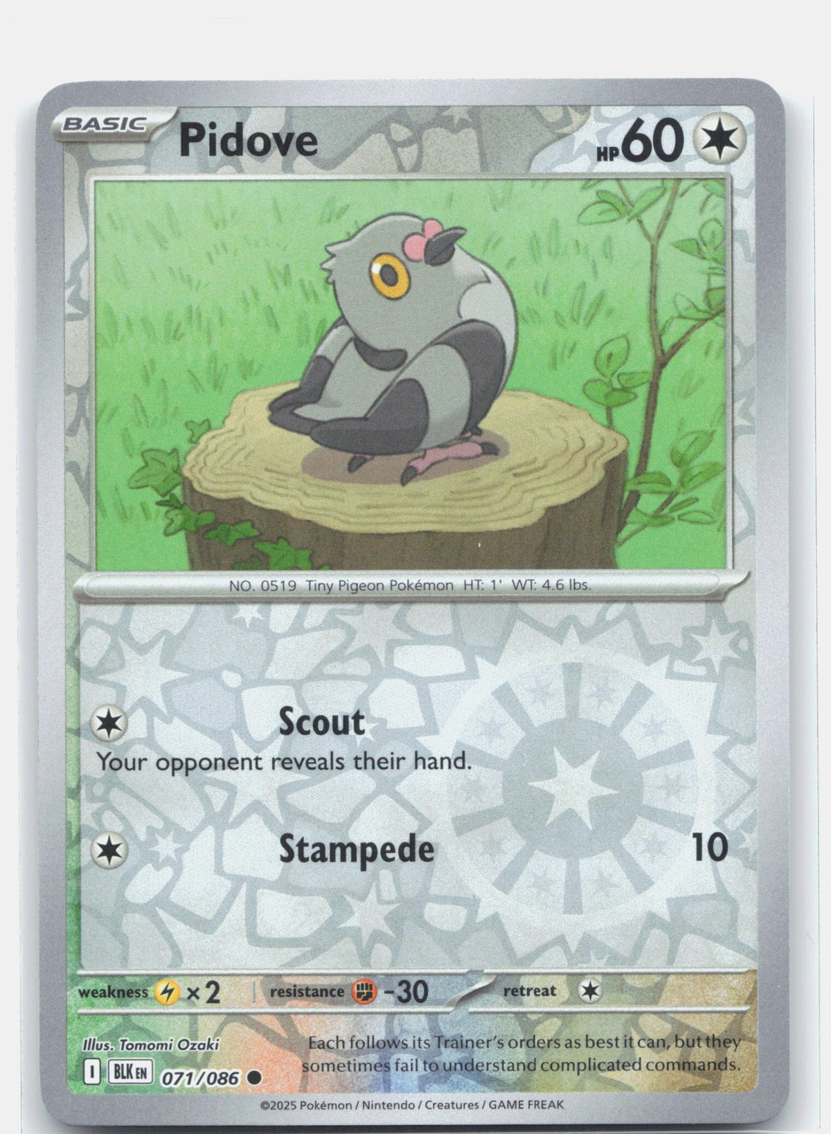Pidove
