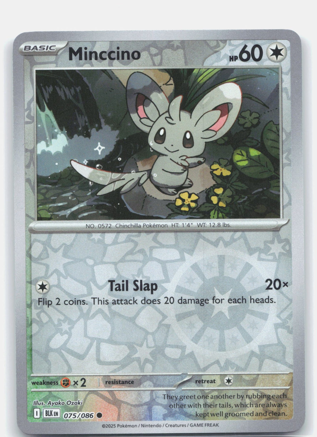 Minccino