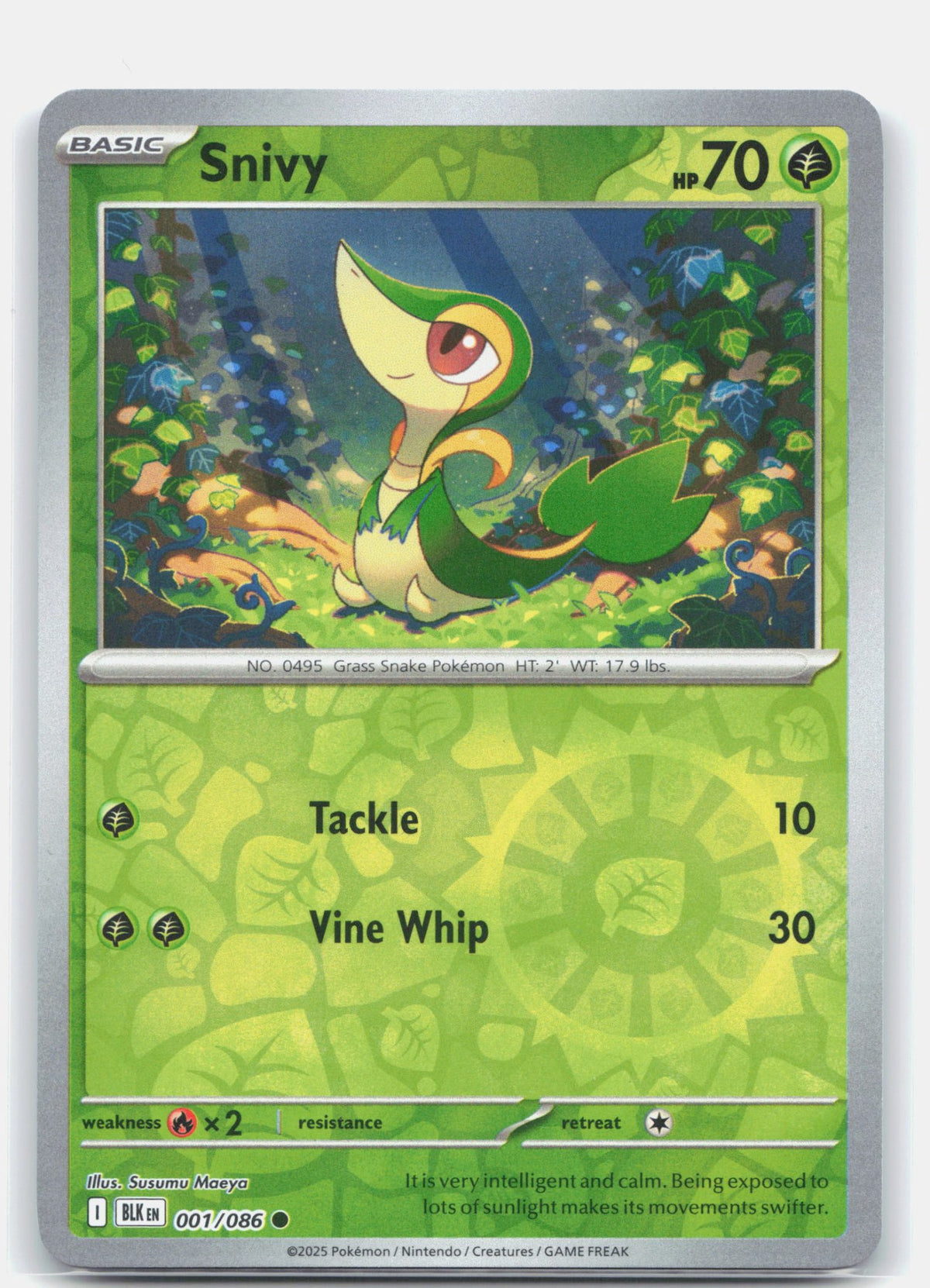Snivy